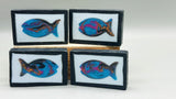 Fish in a Frame Soap Bar