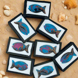 Fish in a Frame Soap Bar
