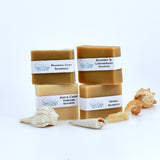 Natural Shampoo Bars 4 mini